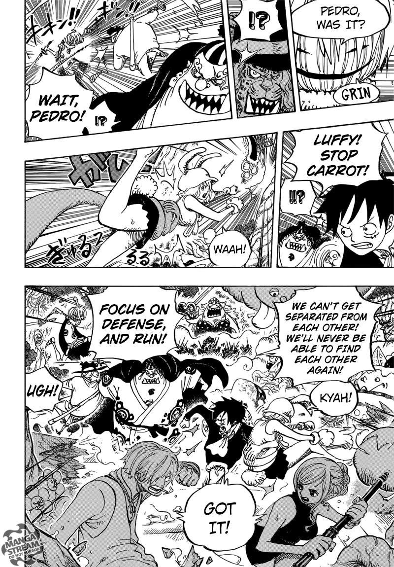 One Piece Chapter 875 13